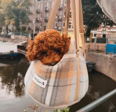 Bán Chó Poodle Lông Màu Nâu Đỏ