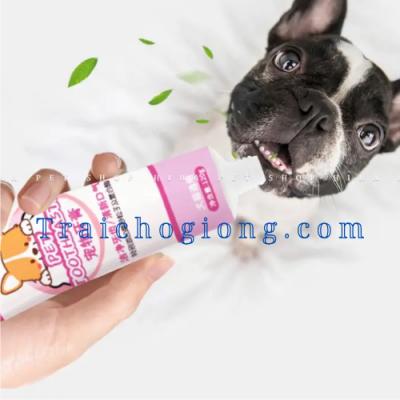 Bộ Kem Và Bàn Chải Đánh Răng