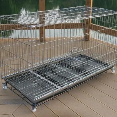 Lồng 1M Cho Chó Size Lớn Rộng Cho Cún Nô Đùa