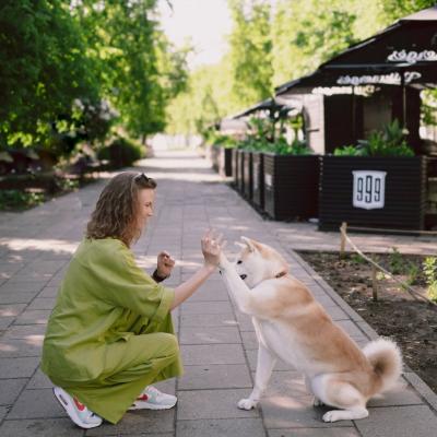 Phối Giống Chó Akita Inu Chuẩn Kỹ Thuật