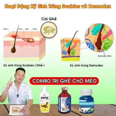 Thuốc Trị Ghẻ Xà Mâu Ngứa Trên Chó